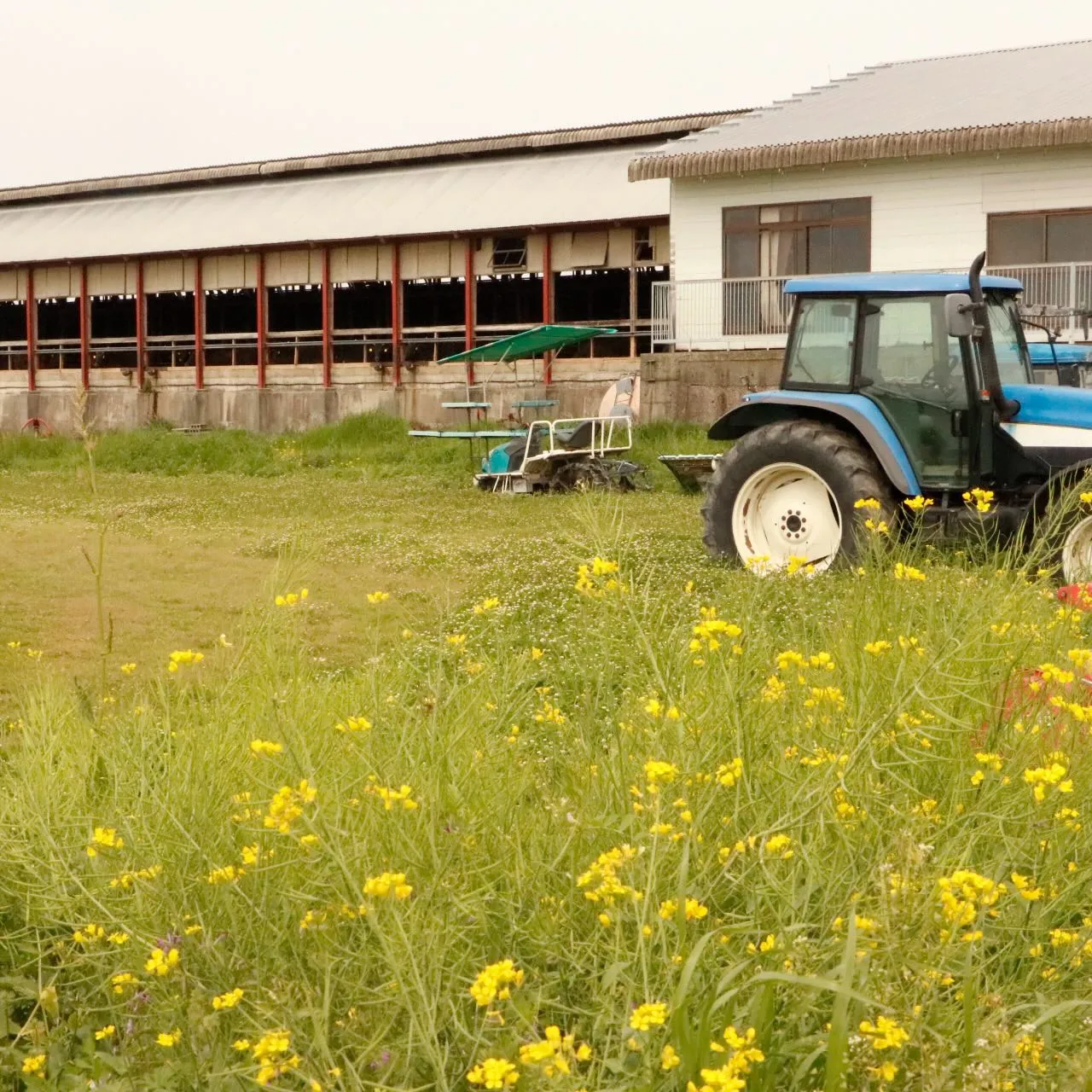 熊本県『菊池ユートピアファーム』
